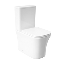 Inodoro completo blanco brillo con cisterna vista y asiento