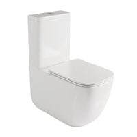 Inodoro completo blanco brillo con cisterna vista y asiento
